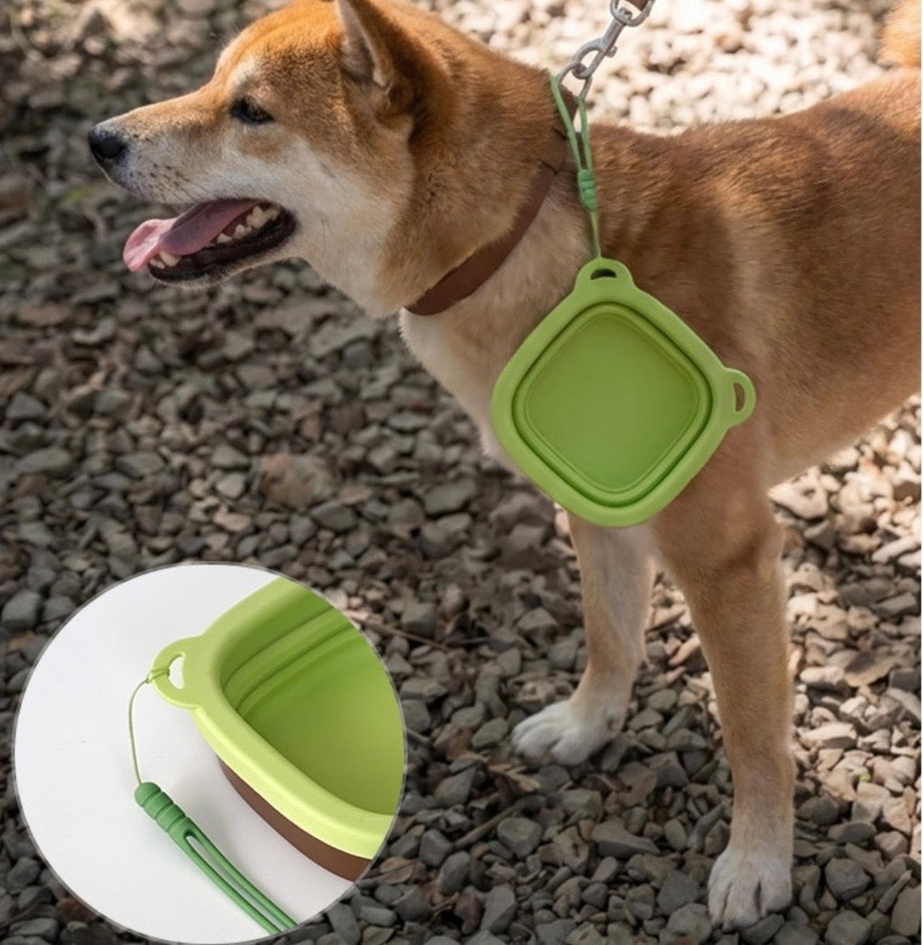 Cuenco plegable para perros sujeto a la correa