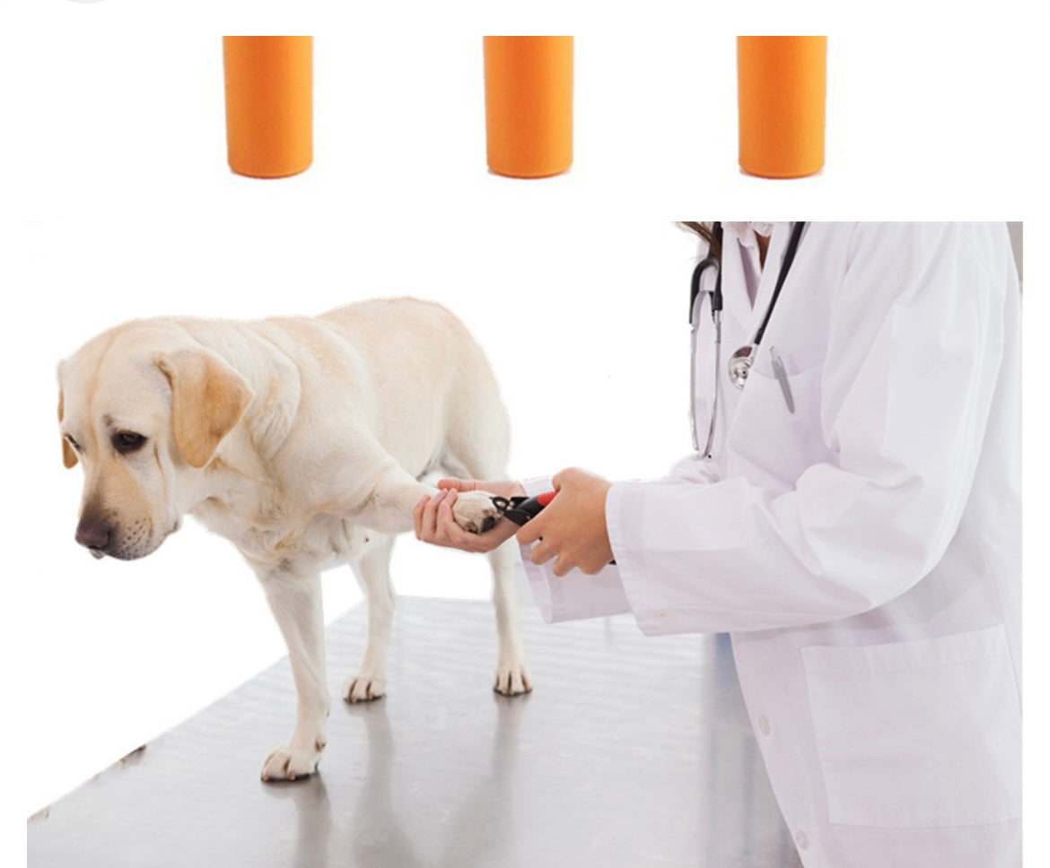 Veterinario cortando las uñas de un perro con un cortaúñas manual