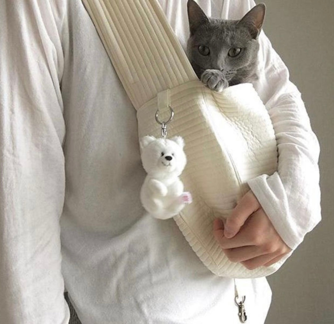 Gato dentro de una mochila transportín para mascotas