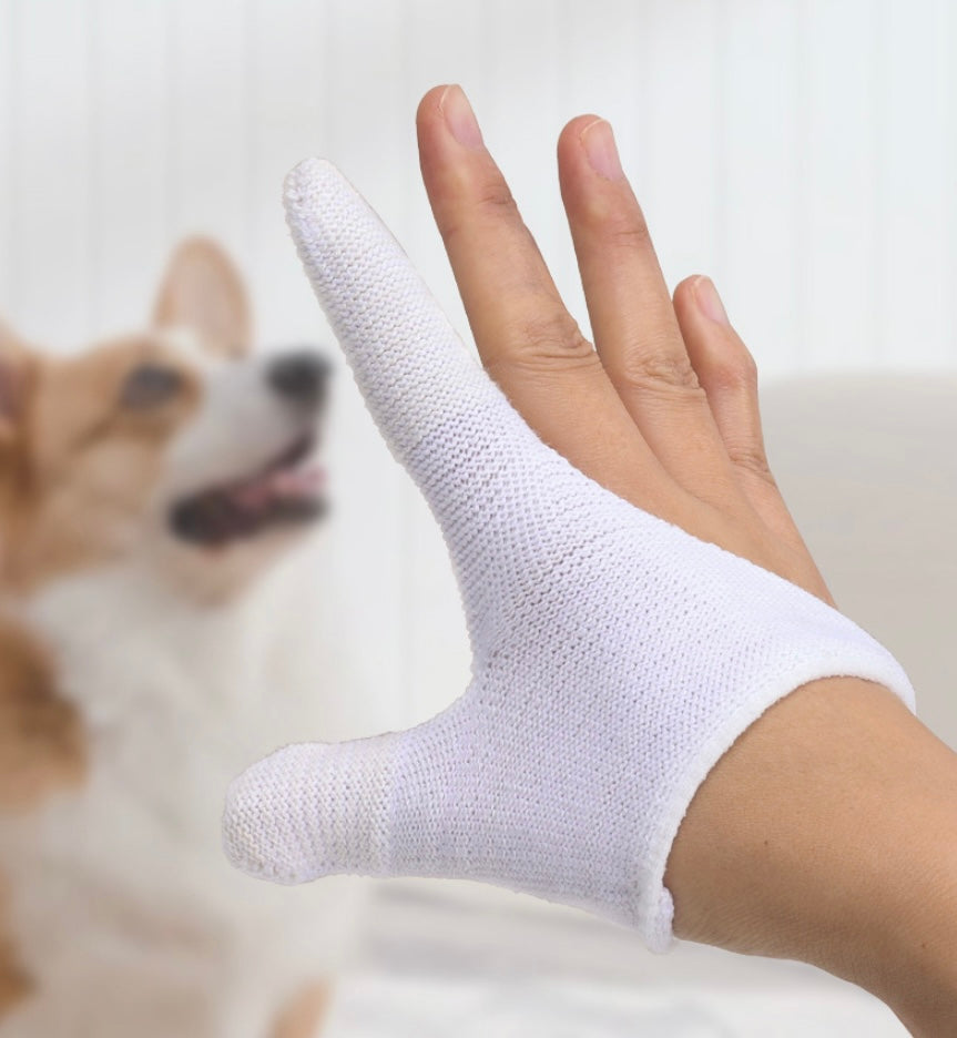 Mano con guante dental acercándose a un perro para limpiar sus dientes.
