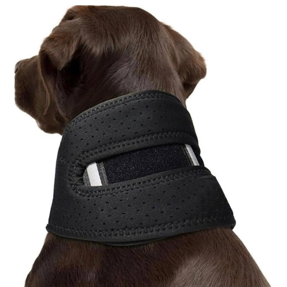 Perro con collarín talla L negro protector