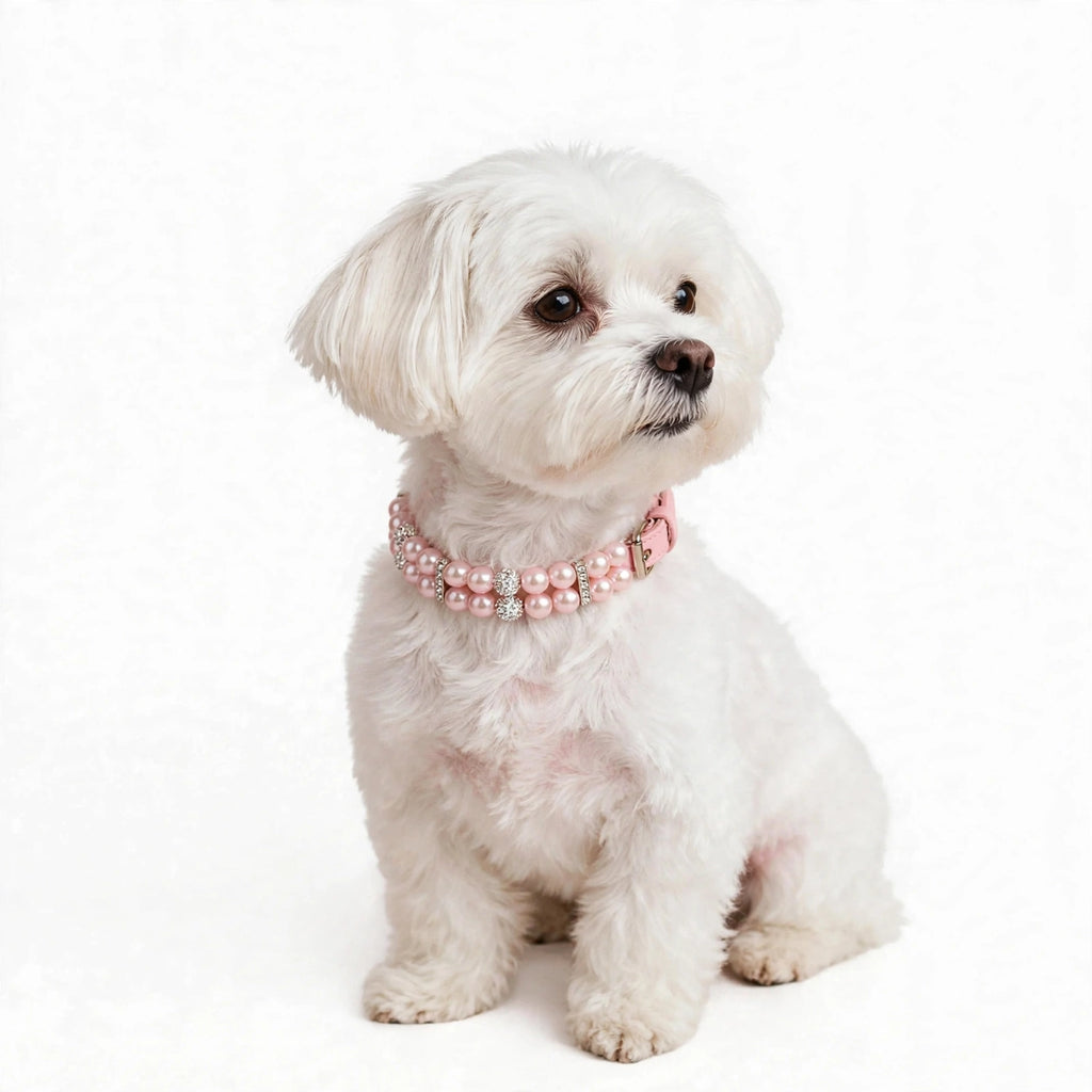 Perro blanco usando collar perla rosa