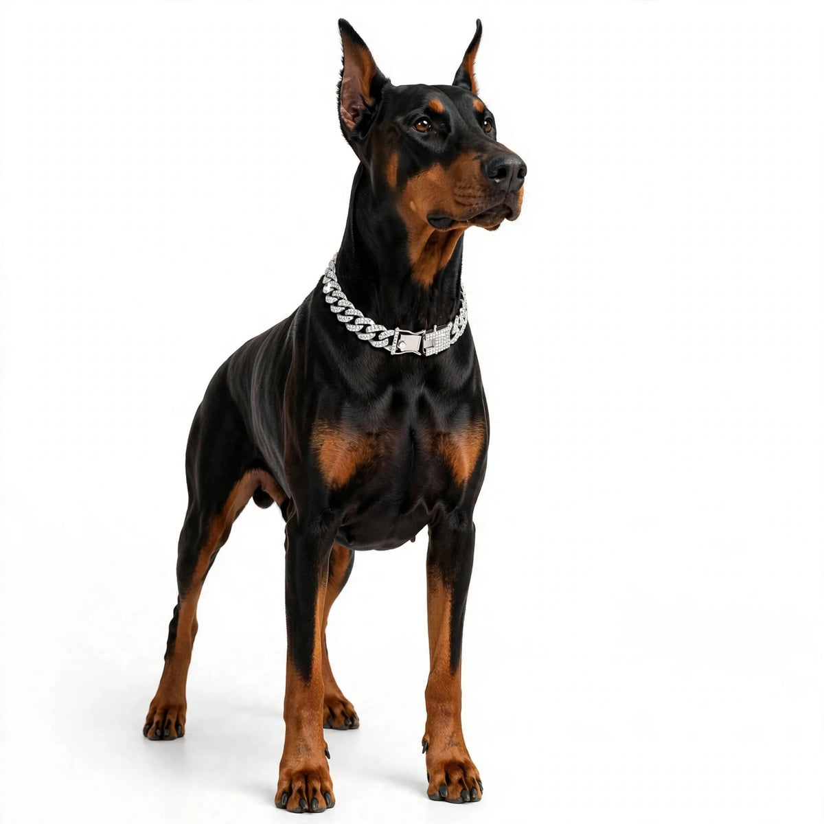 Coleira de Corrente para Cães e Gatos - VivaTrend Boutique